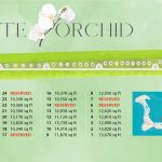 white-orchid-site-map-use-web-final.jpg