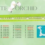 white-orchid-site-map-web-final.jpg