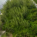 dji-0108-hdr-2.jpg