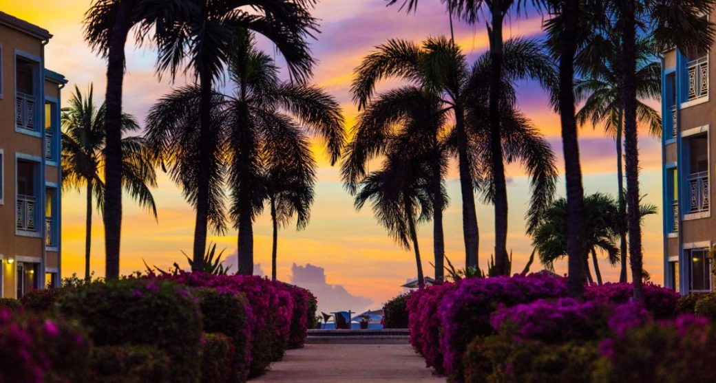 regal-sunset-copy.jpg