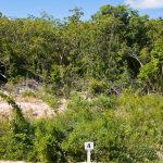 dji-0557-merged-f13-l0-dxo.jpeg