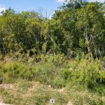 dji-0592-merged-f13-l0-dxo.jpeg