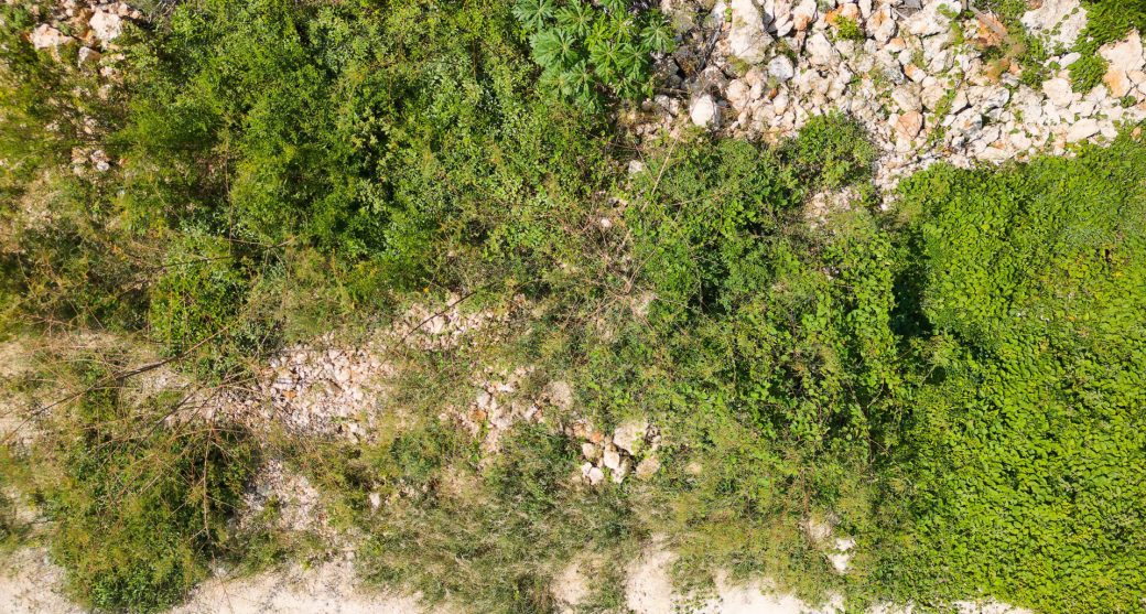dji-0597-merged-f13-l0-dxo.jpeg