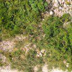 dji-0597-merged-f13-l0-dxo.jpeg