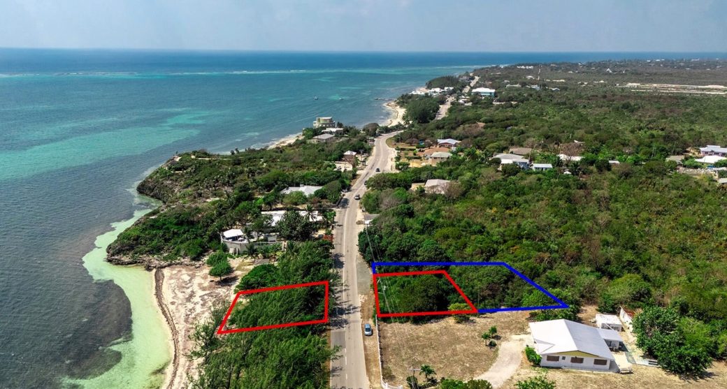 dji-20250321120107-0004-d-edit-copy.jpg