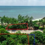 dji-20250321121947-0025-d-edit-copy.jpg