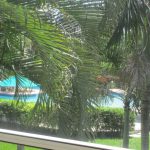 img-0590.jpg