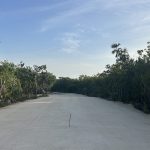 lot-2-photo-1.jpeg
