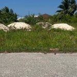 43a236-marl-mounds.jpg
