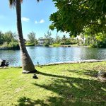 20260209125219_81e66edcb75e4cce8d16b0c28bae79d8