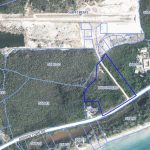 aerial-map-lis.jpg