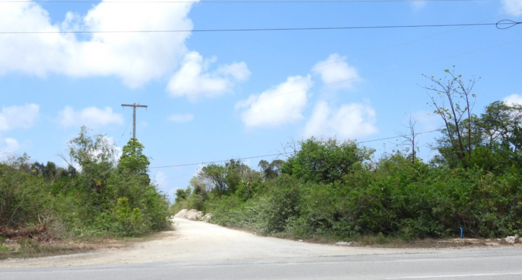 dscn4205.jpg