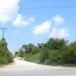 dscn4205.jpg