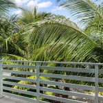 dsc01479.jpg