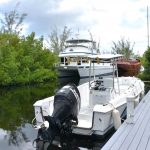 paint-dock-light-gray.jpg