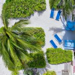 dji-20260731112843-0338-d.jpg