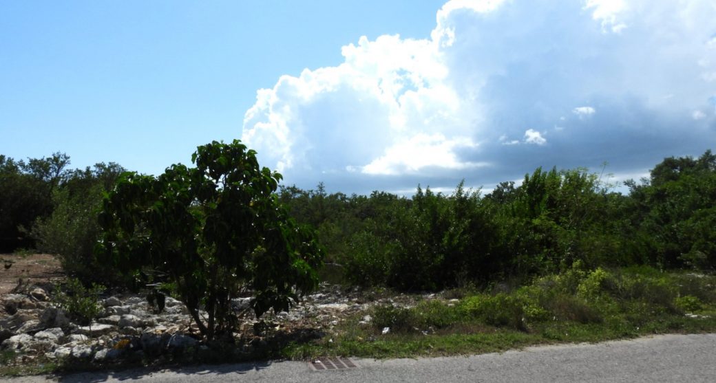 dscn4380.jpg