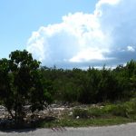 dscn4380.jpg
